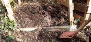 Fertiger Kompost eines Komposthaufens mit Holzumrandung Fertiger Kompost