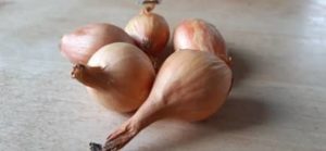 Steckzwiebeln können Manchmal schon Mitte April ins Beet Steckzwiebeln