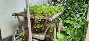 Dekoration Alter Handwagen bepflanzt Alter Handwagen