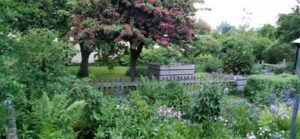 Garten im Juni