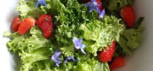 Salatvariation aus dem Garten