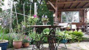 Sommer im Biogarten auf der Terrasse Juni auf der Terrasse