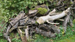 Totholzhaufen im Naturgarten