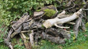 Große und kleine Äste werden kreuz und quer übereinander gelegt Totholzhaufen im Nutzgarten